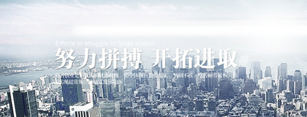 公司介绍